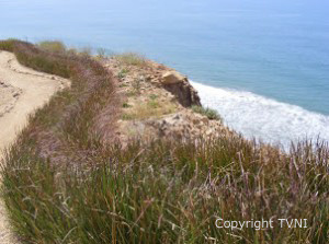 erosion control